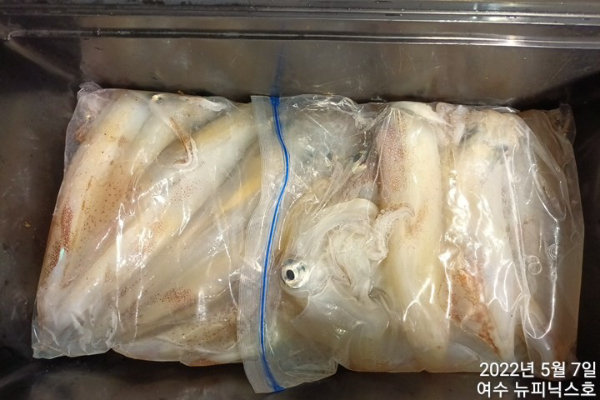 5월7일한치 (10).jpg