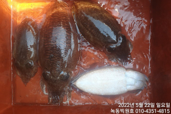 dd39051be262e3562197edca2d842fbc.jpg