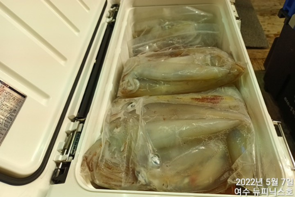 5월7일한치 (2).jpg