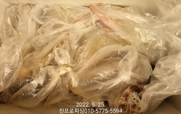 1653431355416-9.jpg