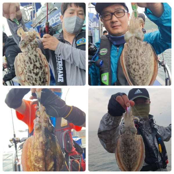 g_855Ud018svc1r3izt4q237cs_afjuef.jpg