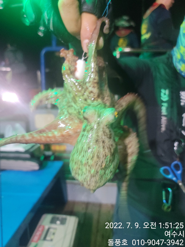 1657301636071-4.jpg