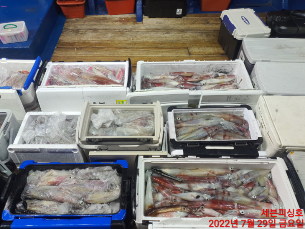 KakaoTalk_20220729_130905034_23.jpg