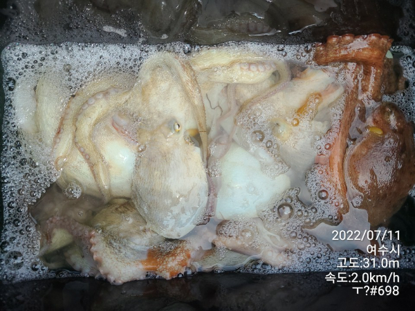 1ed2c13d07d1e0a50be9bcd87b8ddcb8.jpg