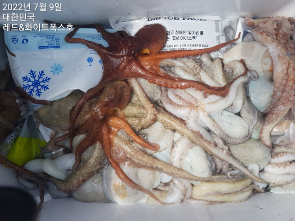 KakaoTalk_20220709_172738847_15.jpg