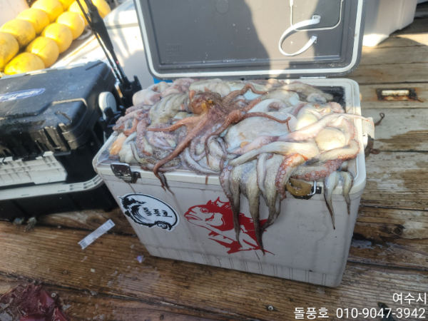 1657360444507-10.jpg