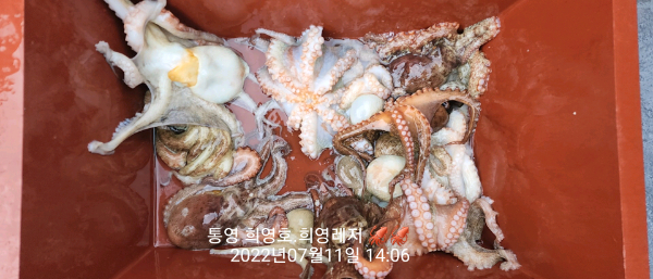 DateCamera0711140628.jpg