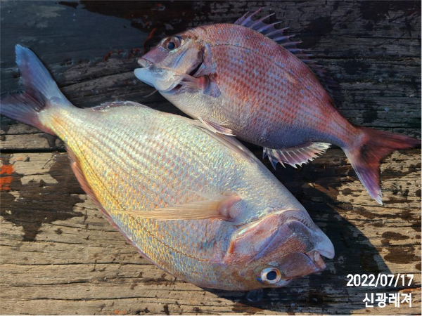 슬라이드0009.jpg