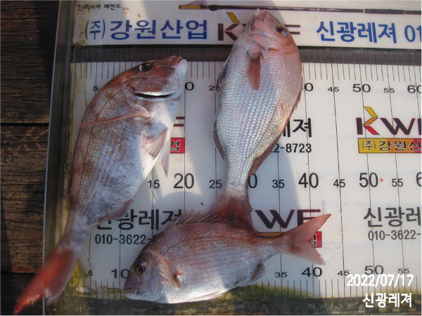 슬라이드0005.jpg