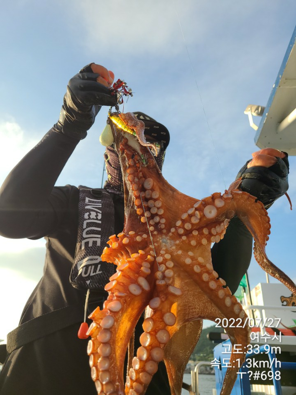 a241c56bdc2fac9d68c60a99d09e477c.jpg
