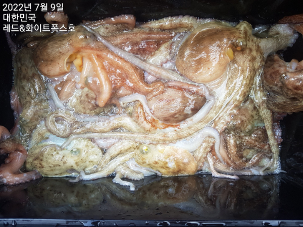 KakaoTalk_20220709_172738847_16.jpg