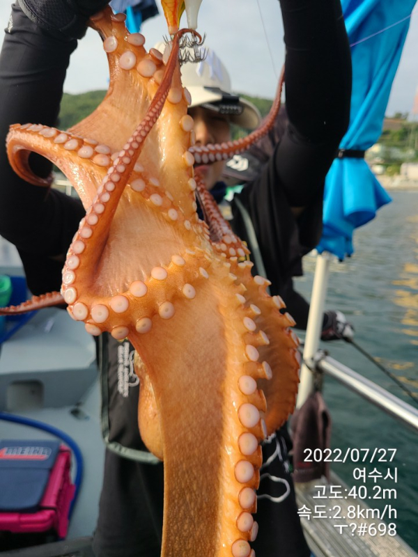 d02e304c1e51fd5b219721a317792f65.jpg