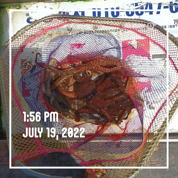 d087288c857bcd2295a00aba02081c45.jpg