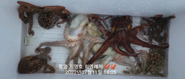 DateCamera0711140503.jpg