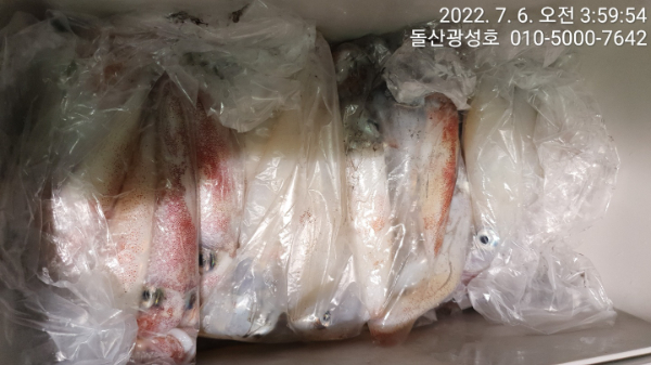 KakaoTalk_20220706_055130633_05.jpg