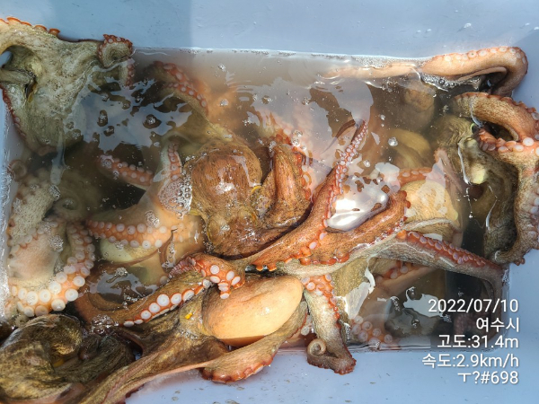 ff4386cb6793955f3490c91d38305d0c.jpg