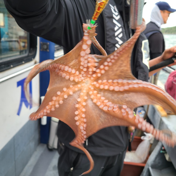 D2CF57A6-E031-474D-98F3-B231C44F3D9E.jpeg
