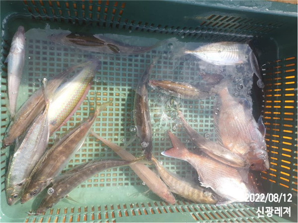 슬라이드0006.jpg
