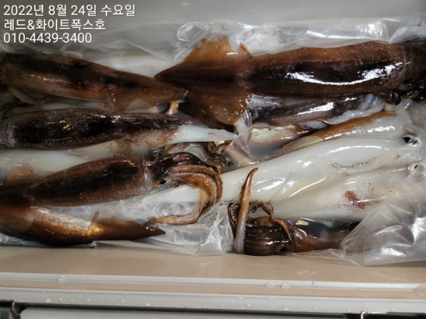 KakaoTalk_20220824_083343888_06.jpg