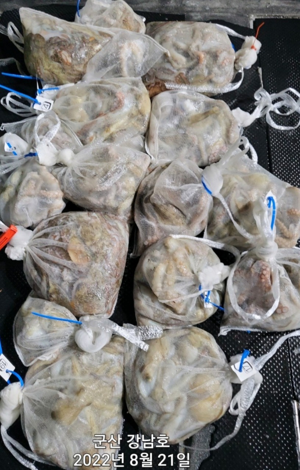 군산 강남호 선상낚시 밴드-강남호 조황사진-43983257092.jpg