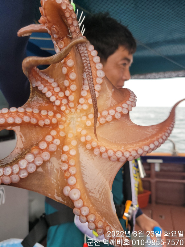 KakaoTalk_20220823_135641647_04.jpg