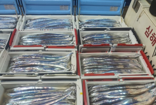 7052d218f2057efccda42a02c439a68c (1).jpg