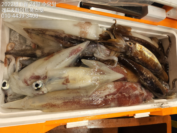 KakaoTalk_20220824_083343888_03.jpg