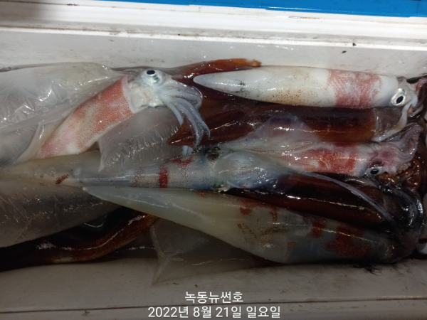 68f1d19a9ecd6d3330b3c589a3d5fa22.jpg