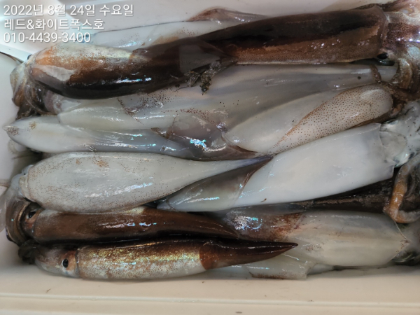 KakaoTalk_20220824_083343888_08.jpg