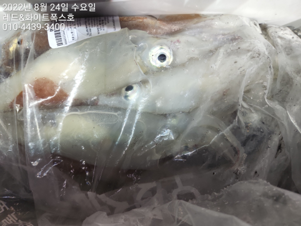 KakaoTalk_20220824_083343888_11.jpg