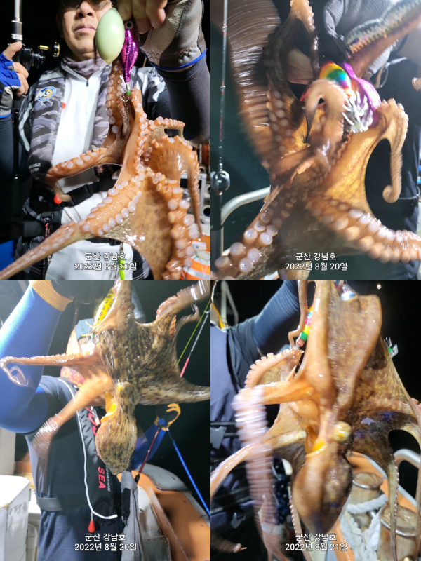 개인 사진4.jpg