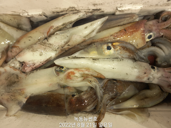 a280148fc96e89cc2b635e742afad1ce.jpg