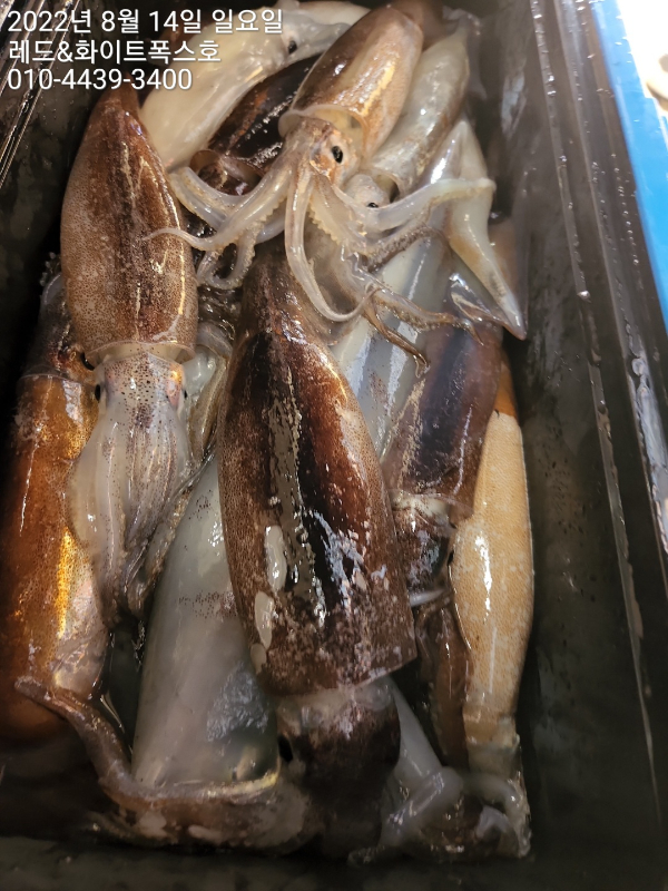 KakaoTalk_20220815_124456355_24.jpg