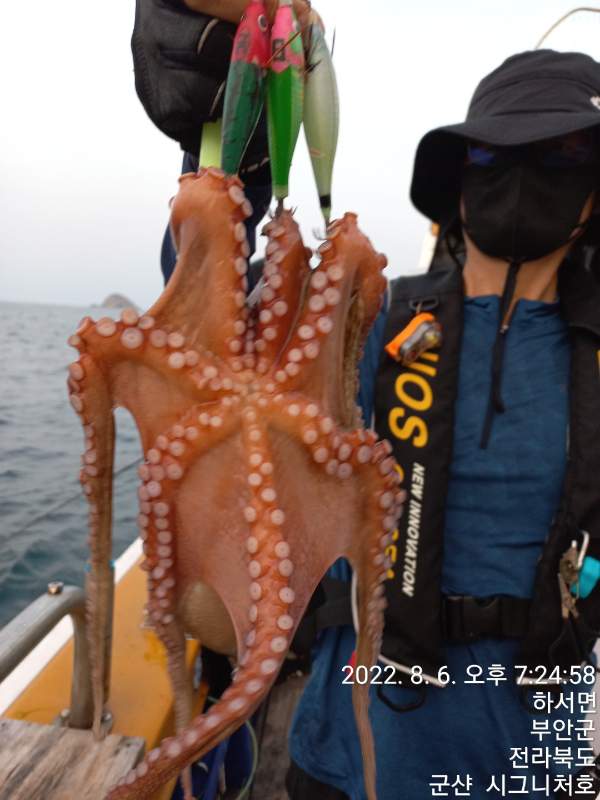 KakaoTalk_20220807_114750713_17.jpg