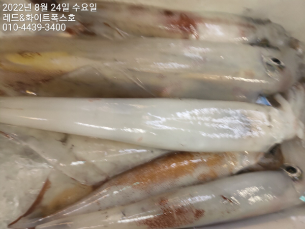 KakaoTalk_20220824_083343888_05.jpg