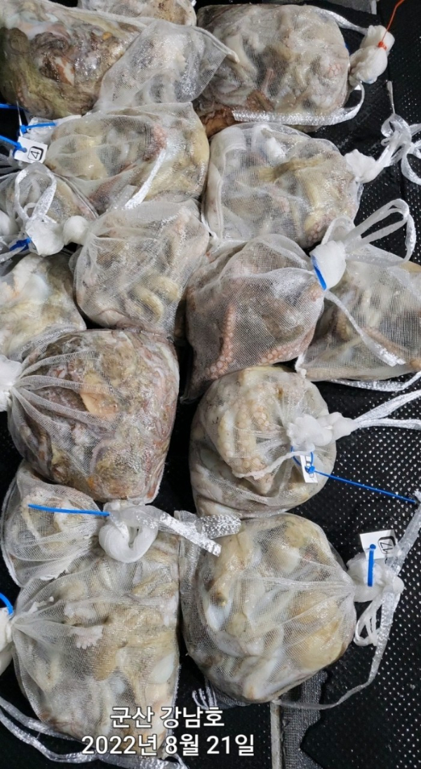 군산 강남호 선상낚시 밴드-강남호 조황사진-43983257093.jpg