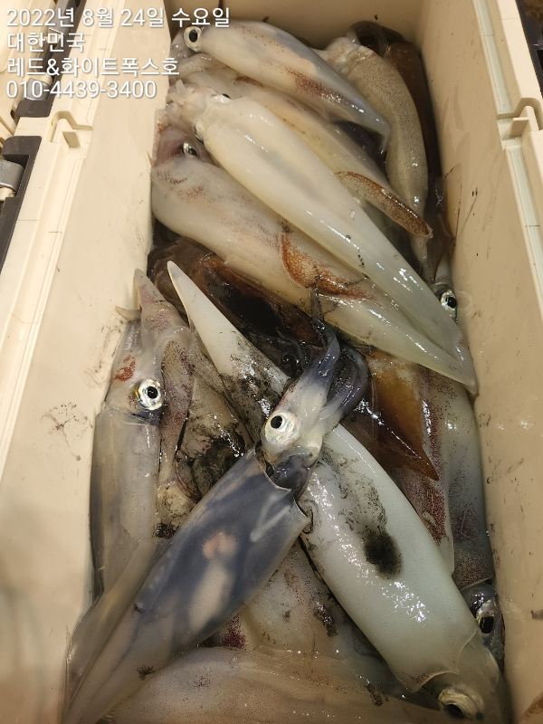 KakaoTalk_20220824_083343888.jpg