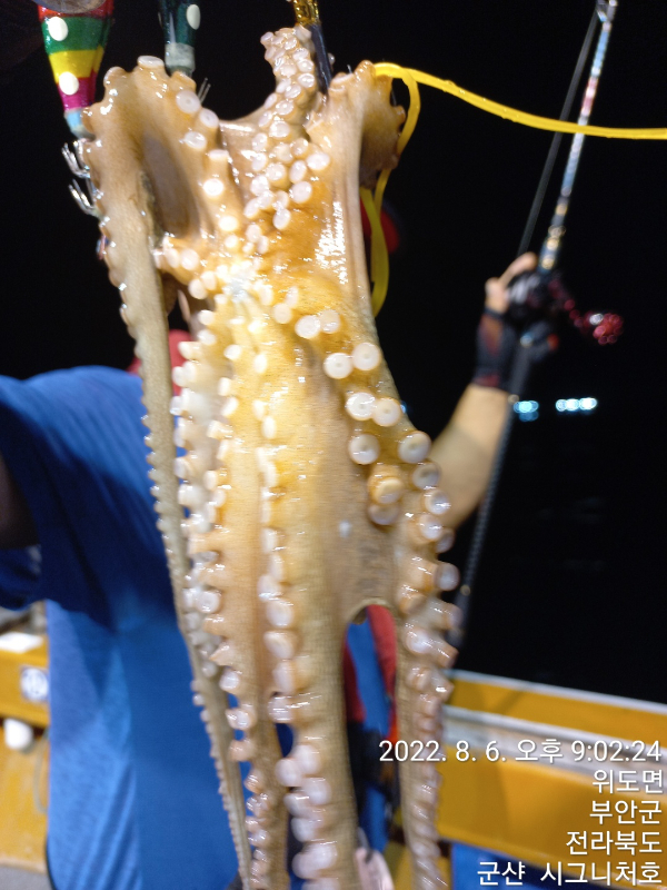KakaoTalk_20220807_114750713_13.jpg