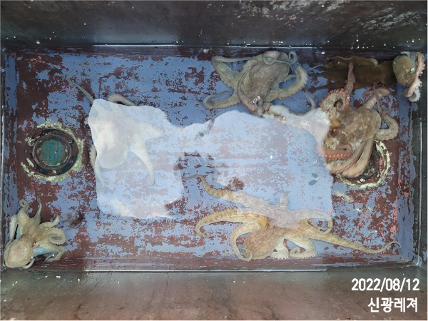 슬라이드0005.jpg