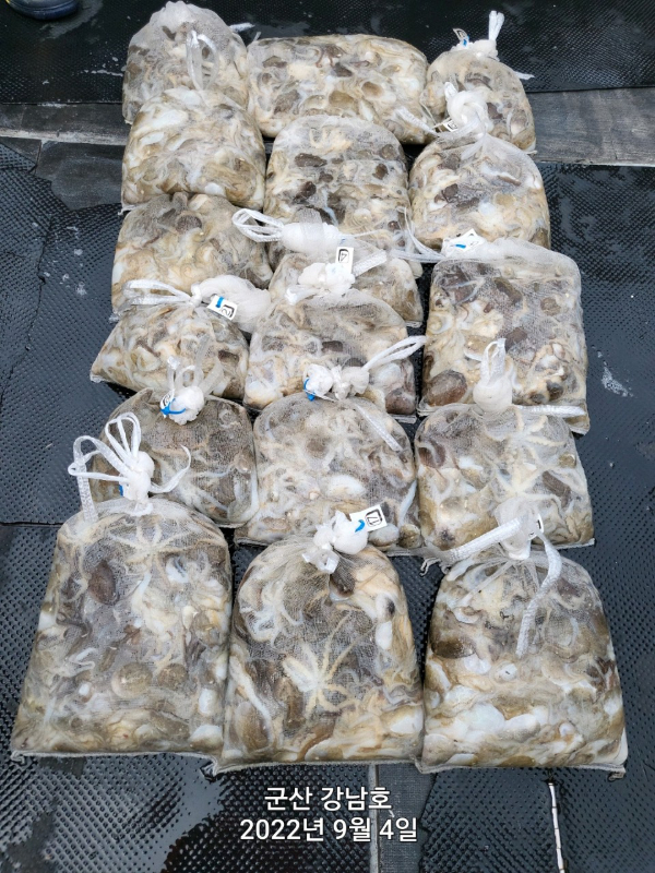 군산 강남호 선상낚시 밴드-강남호 조황사진-44387233454.jpg