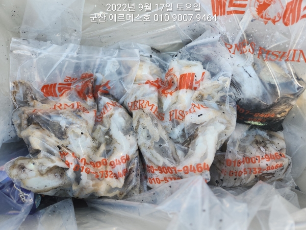 KakaoTalk_20220917_181446007_11.jpg