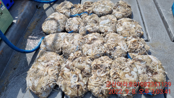 17a201101460f3605131defcc1a6d694.jpg