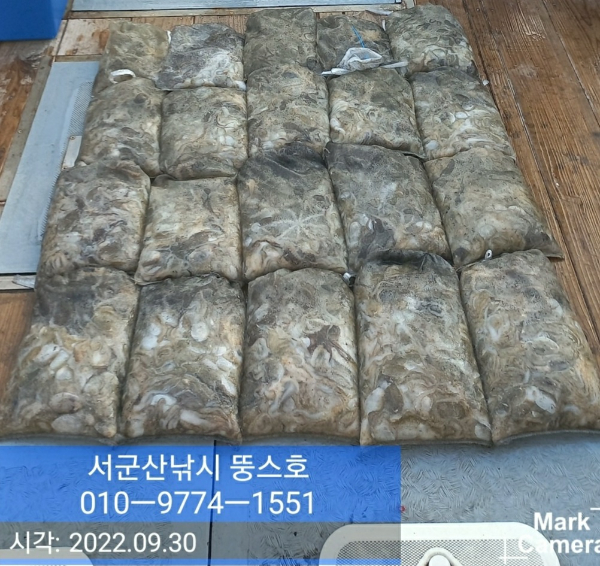 KakaoTalk_20220930_184932736.jpg