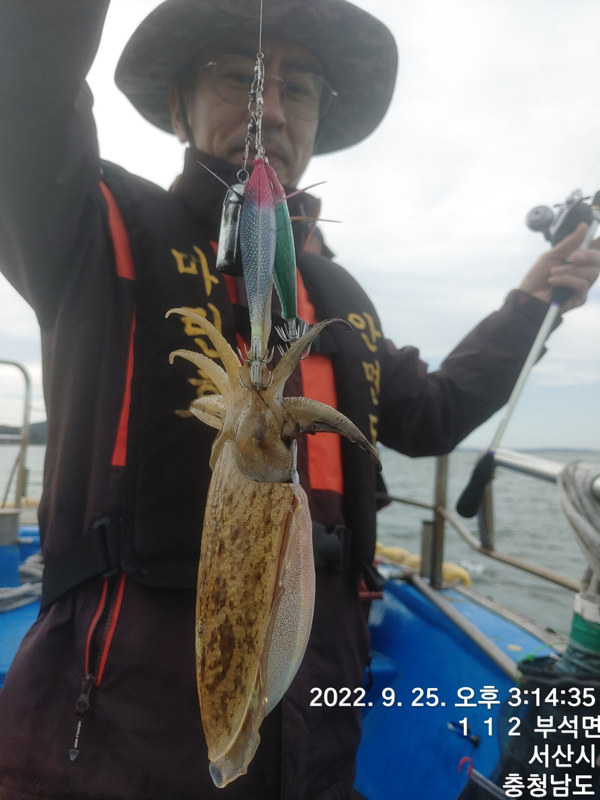 32253fcf20476739d2fd01b9db795df2.jpeg