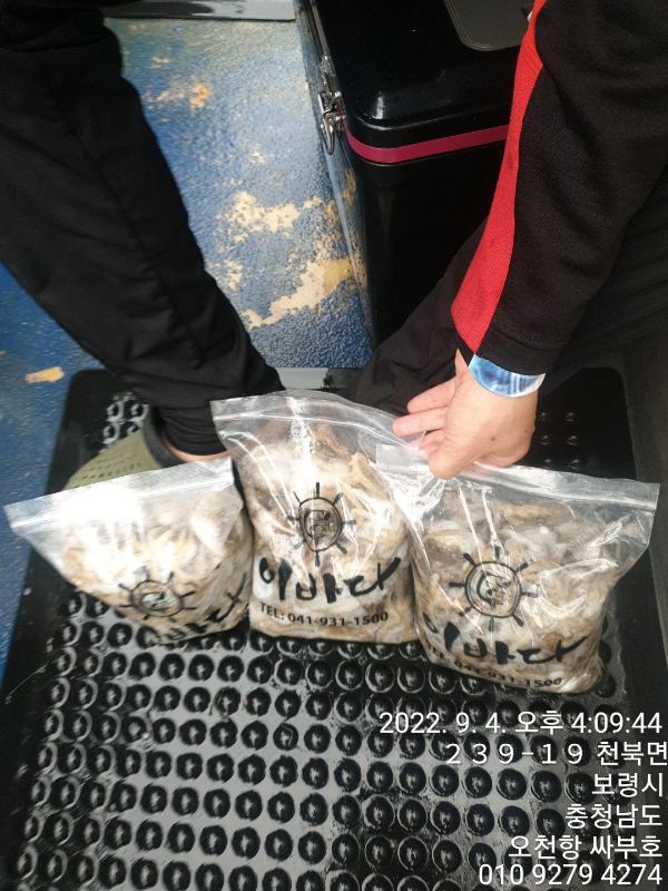 1662290169066-7.jpg