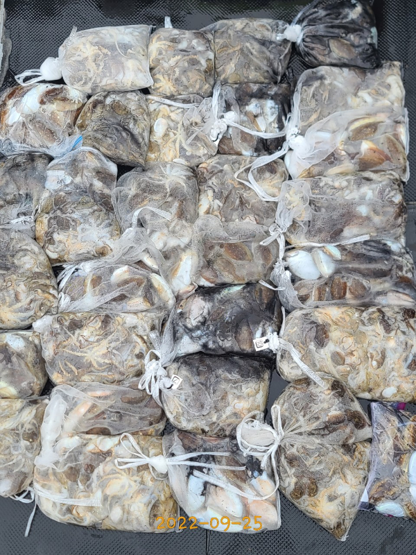 군산 강남호 선상낚시 밴드-강남호 조황사진-45046994600.jpg