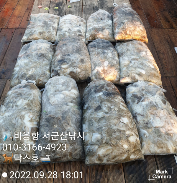 KakaoTalk_20220928_183426300_13.jpg