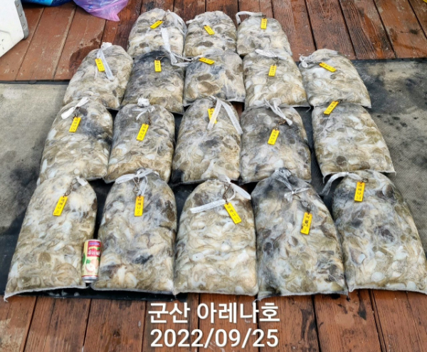 1664095834217-0.jpg