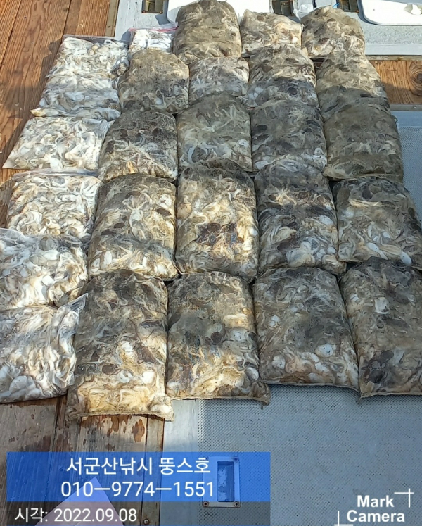 KakaoTalk_20220908_191432664.jpg
