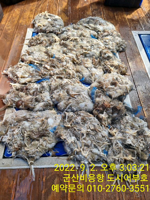 641e18379700fe09e21a48c2999813f5.jpg